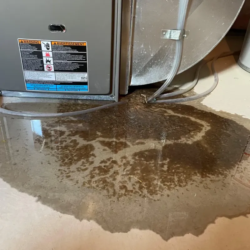 Appliance Leak Cleanup in Cedar Hills, OR